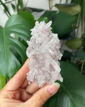 Load image into Gallery viewer, SACRED PINK LEMURIAN QUARTZ CLUSTER WITH CHLORITE INCLUSIONS | 8.6CM IN LENGTH | 70grams