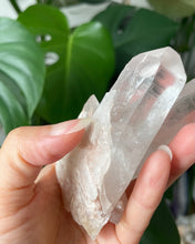Load image into Gallery viewer, HIMALAYAN QUARTZ TWIN RAW POINT | 10.4cm in length | 236grams