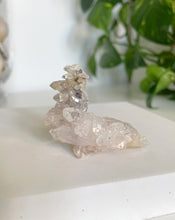 Load image into Gallery viewer, SACRED PINK LEMURIAN QUARTZ CLUSTER WITH GOLDEN HEALER | 5cm | 32g