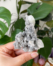Load image into Gallery viewer, CHALCEDONY SPECIMEN WITH APOPHYLLITE POINTS | 5.4 x 8cm | 74grams