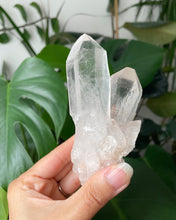 Load image into Gallery viewer, HIMALAYAN QUARTZ TWIN RAW POINT | 10.4cm in length | 236grams