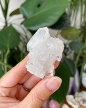 Load image into Gallery viewer, HIGH GRADE CLEAR APOPHYLLITE - D | 4.5CM | 50grams