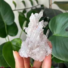 Load image into Gallery viewer, SACRED PINK LEMURIAN QUARTZ CLUSTER FROM COLOMBIA | 8.5cm in Length | 91 grams
