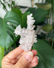 Load image into Gallery viewer, SACRED PINK LEMURIAN QUARTZ CLUSTER | 3.5 x 7.2cm | 36grams
