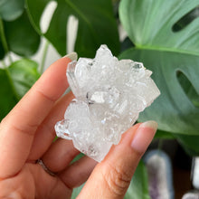 Load image into Gallery viewer, HIGH GRADE CLEAR APOPHYLLITE - E | 4.9cm | 53grams
