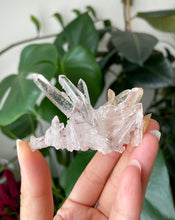 Load image into Gallery viewer, SACRED PINK LEMURIAN QUARTZ CLUSTER WITH GOLDEN HEALER | Base 6.4cm | 45grams
