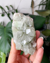 Load image into Gallery viewer, FROSTY GREEN APOPHYLLITE SPECIMEN | 4.3 x 8.3cm | 85 grams
