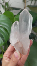 Load and play video in Gallery viewer, HIMALAYAN QUARTZ TWIN RAW POINT | 10.4cm in length | 236grams
