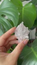 Load and play video in Gallery viewer, SACRED PINK LEMURIAN QUARTZ CLUSTER WITH CHLORITE INCLUSIONS | 3.7 x 5.5cm | 19grams
