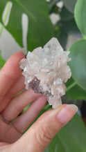 Load and play video in Gallery viewer, GEMMY APOPHYLLITE, PEACH STILBITE AND RED HEMATITE - D | 5cm | 38grams
