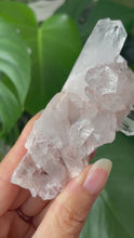 Load and play video in Gallery viewer, SACRED PINK LEMURIAN QUARTZ CLUSTER FROM COLOMBIA | 9.9CM IN LENGTH | 125grams
