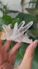 Load and play video in Gallery viewer, SACRED PINK LEMURIAN QUARTZ CLUSTER WITH GOLDEN HEALER | Base 6.4cm | 45grams
