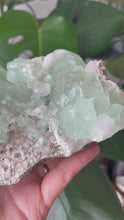 Load and play video in Gallery viewer, GREEN APOPHYLLITE WITH STILBITE AND SCOLOCITE SPECIMEN | 10.5 x 12.3cm | 909 grams
