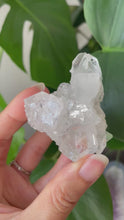 Load and play video in Gallery viewer, HIGH GRADE CLEAR APOPHYLLITE - H | 6.5cm In length | 84grams
