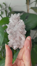 Load and play video in Gallery viewer, SACRED PINK LEMURIAN QUARTZ CLUSTER WITH CHLORITE INCLUSIONS | 8.6CM IN LENGTH |  70grams

