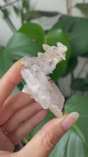 Load and play video in Gallery viewer, SACRED PINK LEMURIAN QUARTZ CLUSTER WITH GOLDEN HEALER | 5cm | 32g
