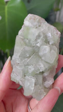 Load and play video in Gallery viewer, FROSTY GREEN APOPHYLLITE SPECIMEN | 4.3 x 8.3cm | 85 grams
