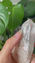 Load and play video in Gallery viewer, HIMALAYAN QUARTZ TWIN RAW POINT | 10.4cm in length | 236grams
