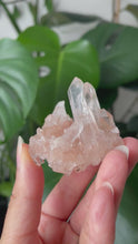Load and play video in Gallery viewer, PINK SAMADHI HIMALAYAN QUARTZ CLUSTER | 4.2cm | 42grams
