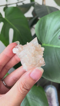 Load and play video in Gallery viewer, GEMMY APOPHYLLITE, PEACH STILBITE AND RED HEMATITE - E | 4.2cm | 34grams

