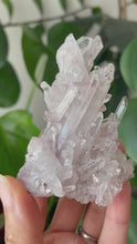 Load and play video in Gallery viewer, SACRED PINK LEMURIAN QUARTZ CLUSTER FROM COLOMBIA | 8.5cm in Length | 91 grams
